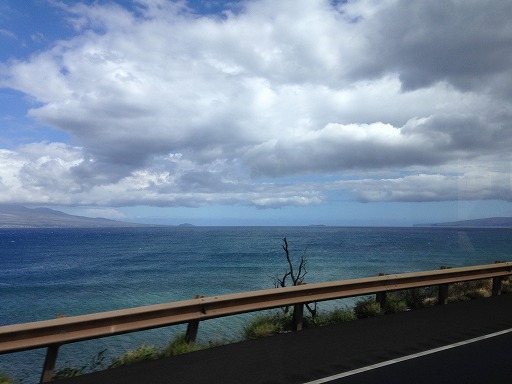 hawai-2-052.jpg